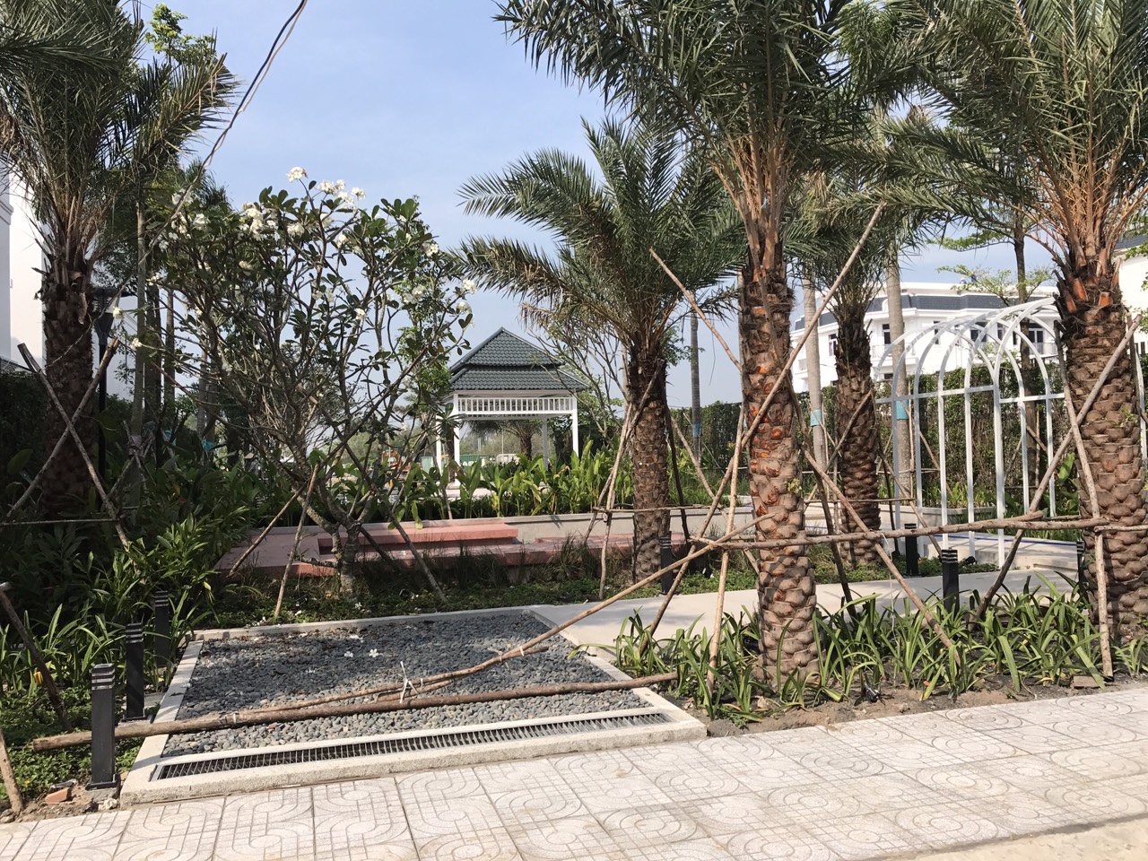 hình ảnh thực tế 6 hình ảnh thực tế 6